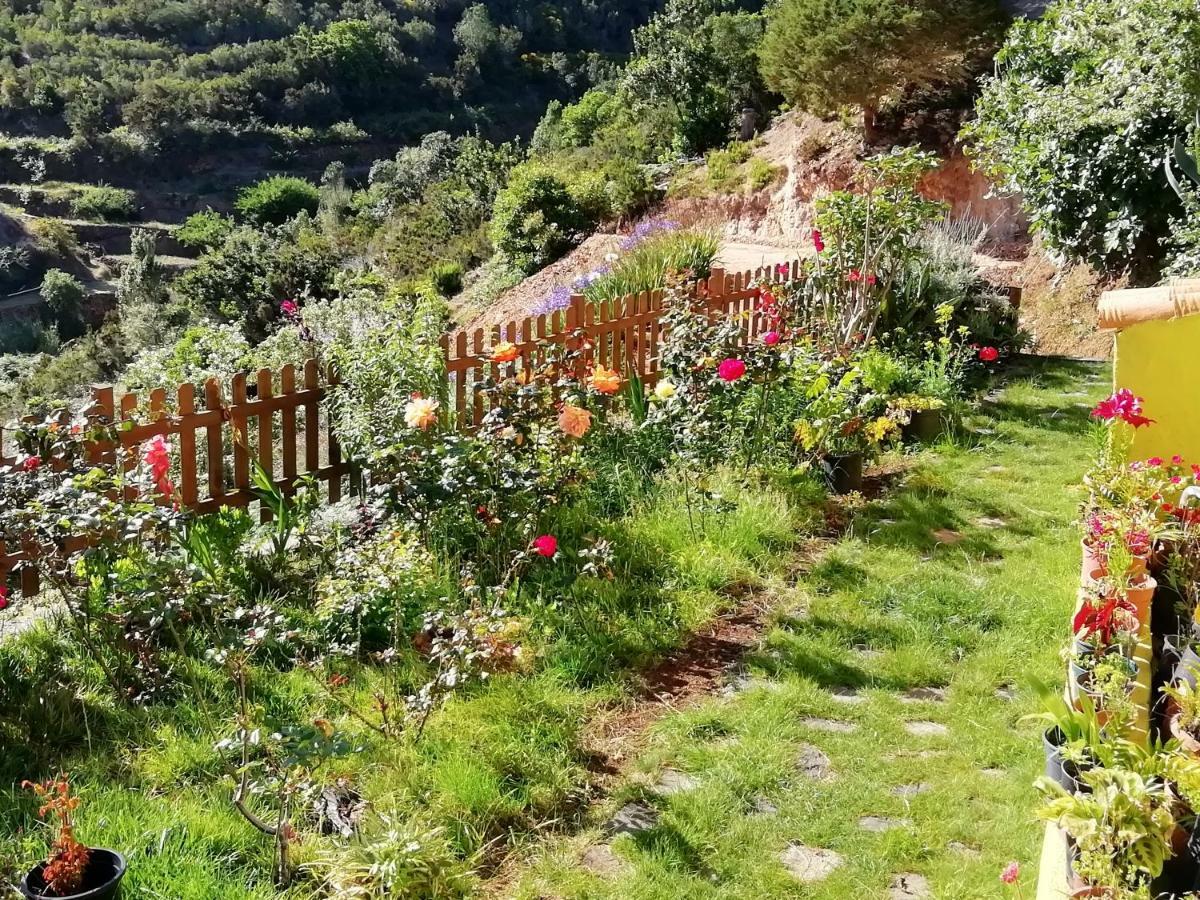 Casa Maria Villa Agulo Exterior photo